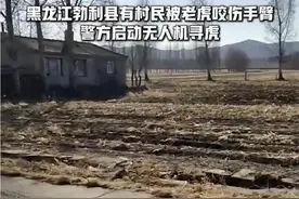 “无人机+热成像”助力找东北虎、野外搜救、森林防火……图片