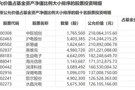 年度绩优基金经理雷志勇、王晓川、雷涛对哪些个股押重注？答案揭晓图片