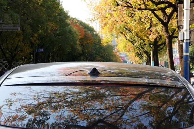 此时，闵行最美的地方就在……