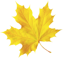 航旅融合 | 下一站三明！航旅同行，解锁藏在山水美食间的“独家惊喜”！