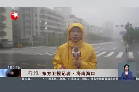 台风“摩羯”登陆海南文昌 风力超17级视频封面