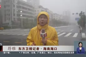 台风“摩羯”登陆海南文昌 风力超17级视频封面