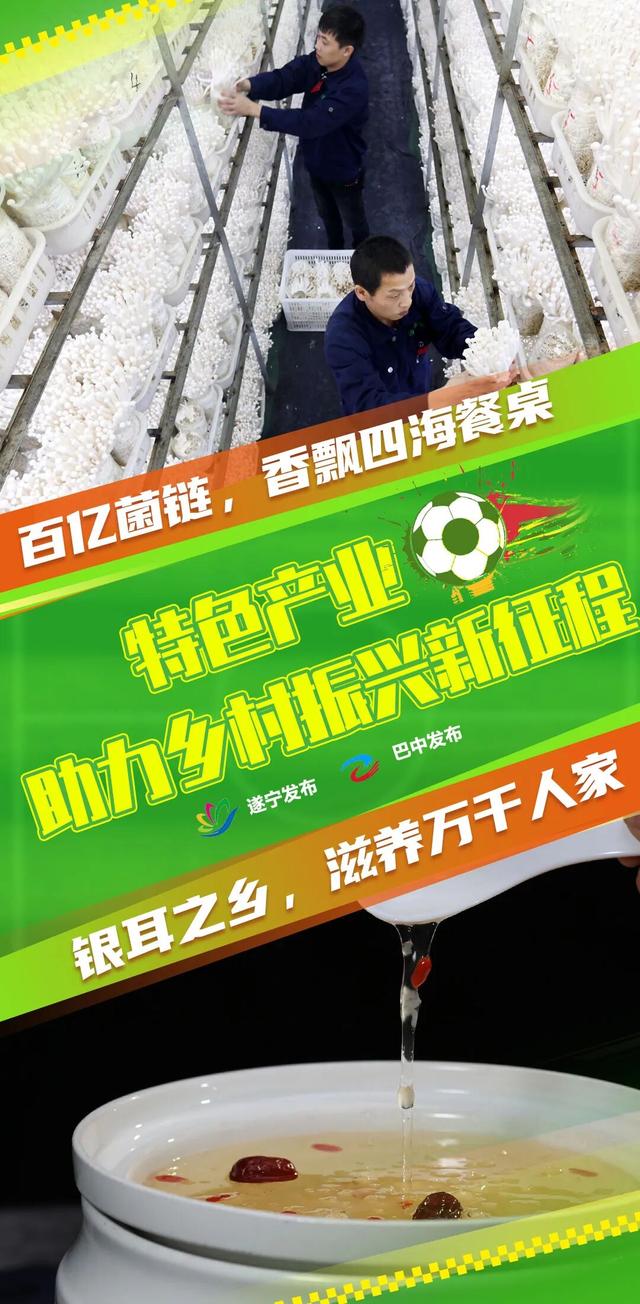 你爱我我爱你，我们一起游“巴遂”