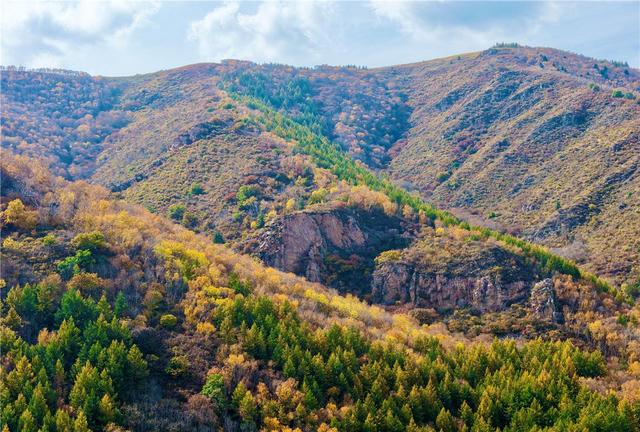 秋日大青山层林尽染