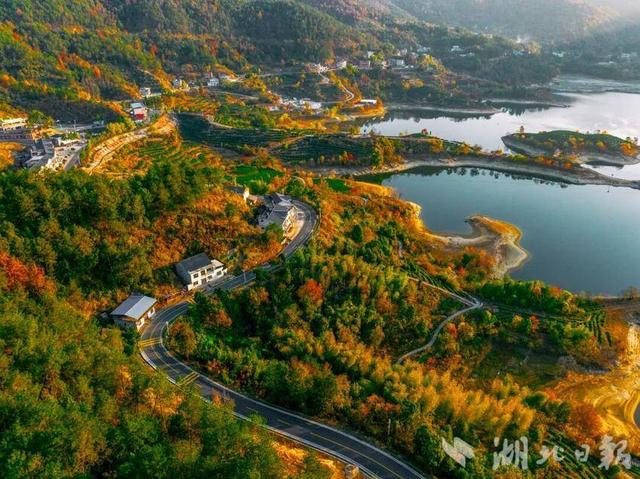 蕲春农村公路的秋藏着田园风光和丰收喜悦