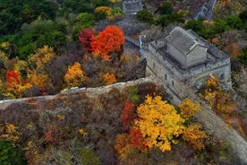 红叶已上线！ 慕田峪长城推出两条最佳观赏路线图片