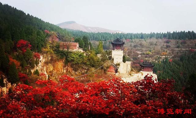 趣味无穷！秋日淄博博山赏红叶，这些打卡地玩法多样超好玩！