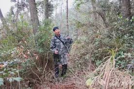 咸丰：与树根对话——深山根雕艺人30年的匠心坚守图片
