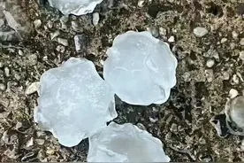 暴雨、冰雹、冻雨……浙江低温湿冷还将持续图片