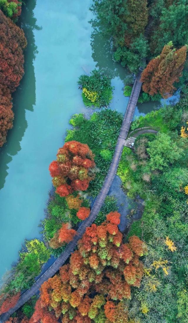 发现·公园城市 | 深呼吸，感受成都湿地魅力