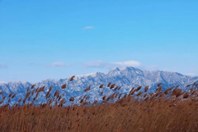 绝美！北京“蓝调”冰瀑奇观，惊艳亮相 | 周末京郊微度假