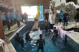 白鲸顺利入住新家！搬家仪式感十足，好吃的也打包了图片