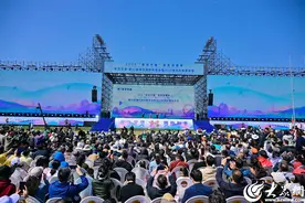 快讯！2025“春游齐鲁”服务消费季 第42届潍坊国际风筝会暨2025潍坊风筝嘉年华开幕图片