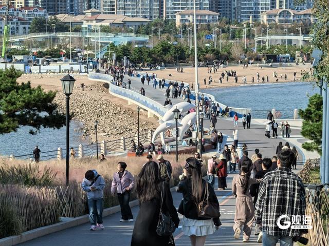 秋日晴好，青岛多个热门景点开启“游园模式”