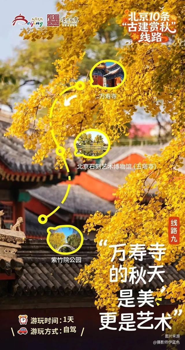 古建赏秋，才是北京的秋日限定