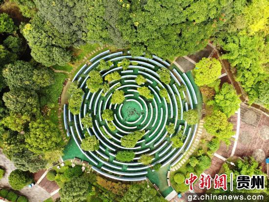 贵阳观山湖公园：“城市绿肺”生态美 秋景怡人引客来