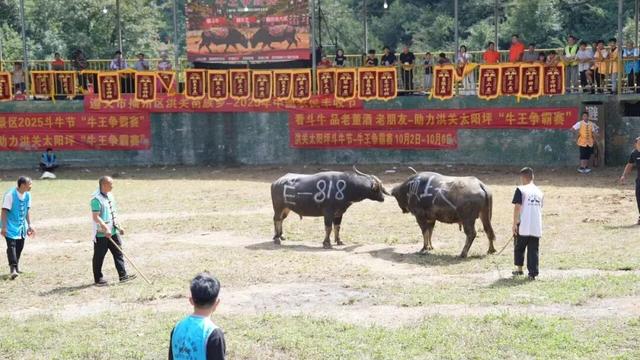 93.22万人次！播州区双节旅游“成绩单”出炉！