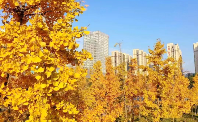 超美超出片！荆门这些宝藏地，附详细打卡攻略