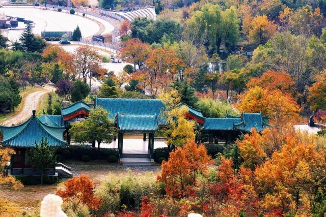 威海这个4A级旅游景区免费！登山看海+千年祈福，初冬盛景不辜负