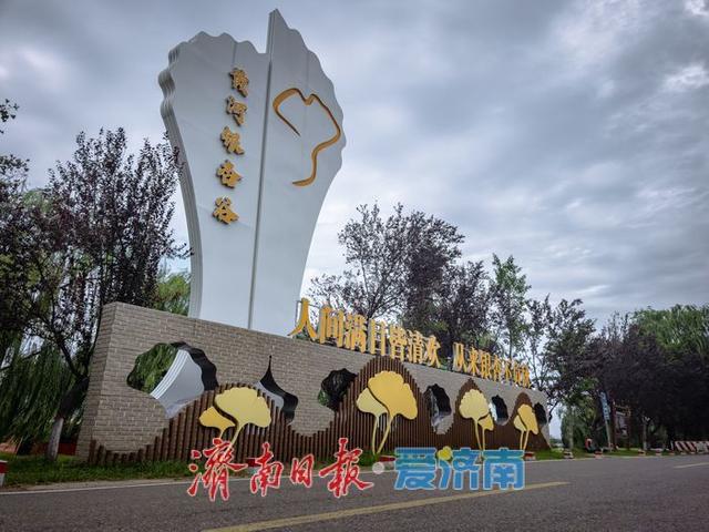 一年四季 泉在济南丨济南百里黄河公路生态廊道：生态与人文交融的打卡胜地