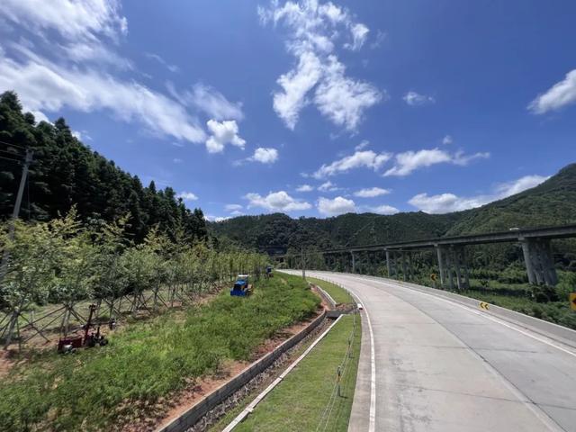 处暑来了！花儿正开！去沙县区这条“党建花路”骑个痛快