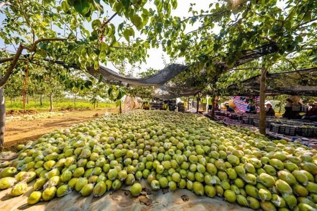 乡见中国·遇见隰县