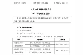 “高端性价比”战略之下，三只松鼠2023年仍“抠”出2亿元利润图片