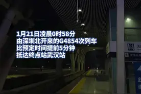 刚刚，春运首趟夜行高铁抵汉，武汉站开启24小时运营模式图片