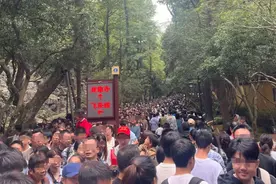 人人人灵隐寺人人人！网友提供速通攻略：错峰，清晨6点钟抵达图片