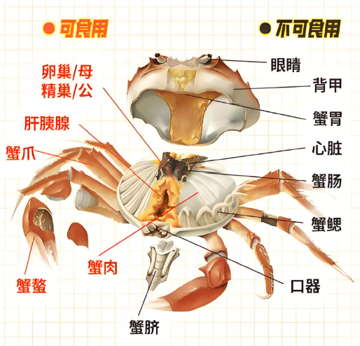 这5种人千万别碰螃蟹，第3个最容易被忽略