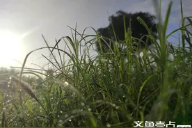 走在乡间的小路上图片