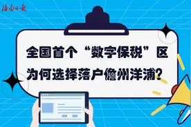 自贸港观察·焦点丨海南如何乘“数”而上图片
