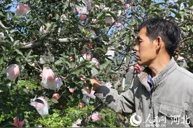 “绿本本”换来“红票票”图片