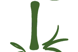 静安，“穿”上薄荷曼波了！图片