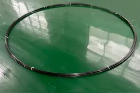 上海石化与“碳谷绿湾”相得益彰图片