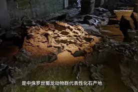全国仅3个！自贡大山铺恐龙化石群遗址入选“全球第二批100个国际地科联地质遗产地”名录图片
