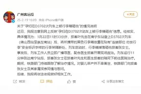 孕妇被行李砸中致胎儿死亡 官方通报：系旅客违规放置图片