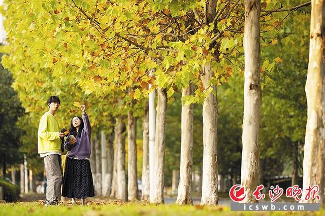 在长沙捡个秋 | 组图