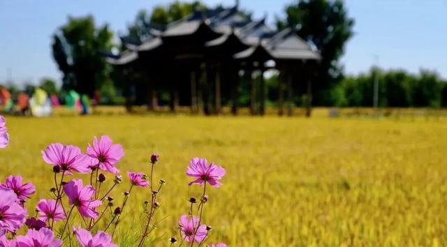 太美了，别眨眼！接下来的副中心将是这种颜色——