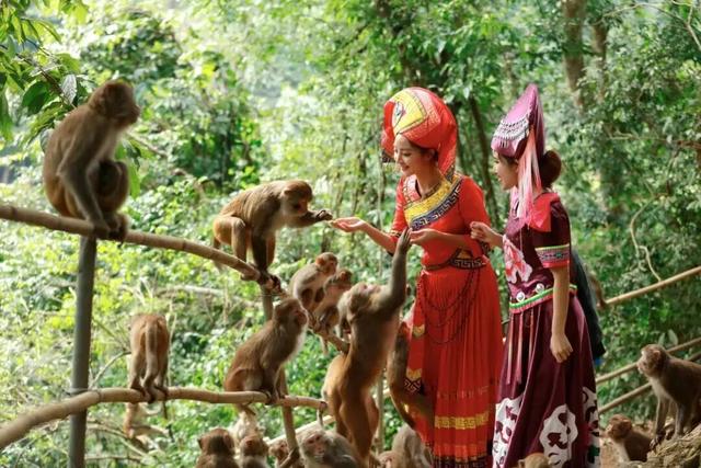 跟着演唱会去旅行 | “棋士”们，看完演唱会还可以这样玩！南宁景区福利等你来领取