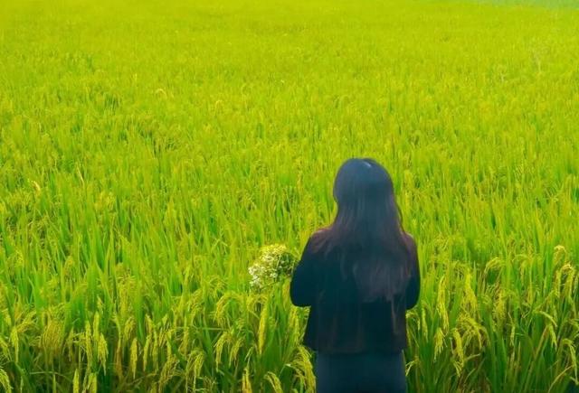 看稻田、赏繁花，邂逅南沙的秋日浪漫→