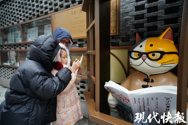 读城｜大“喵”弄！常州千年城隍巷成了“喵星人乐园”