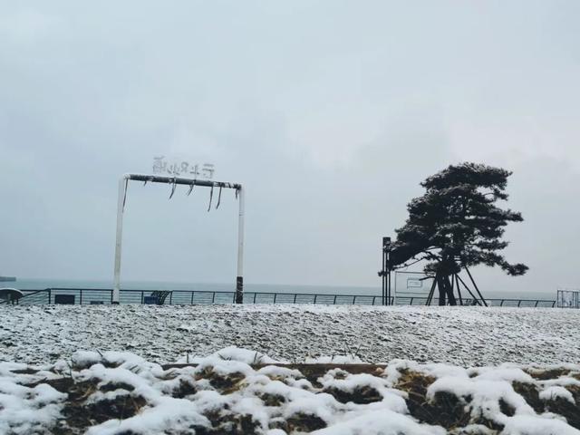收藏！市北初雪限定美景，看完想立刻出门