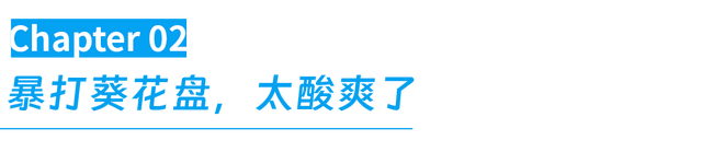 最懂松弛的北京中产，在内蒙玩得太“土”了