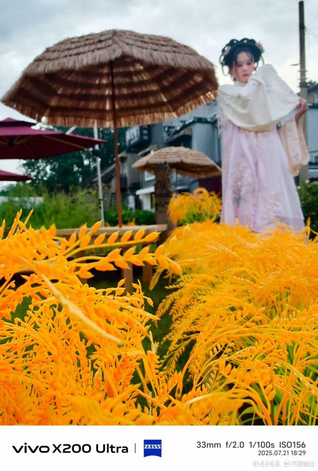 走进百花洲，我在记录