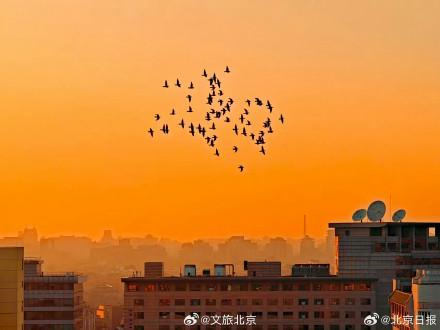 美好！北京晚霞就是甜蜜的颜色