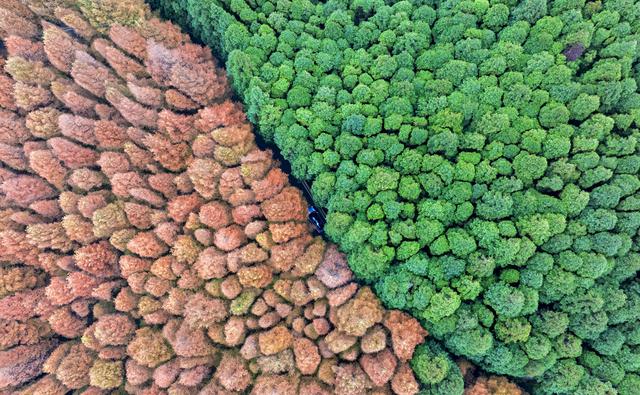 何以重庆｜南川：因山而“城”