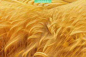 节令之美｜芒种：仲夏始登场  “三夏”大忙时图片