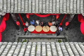 大雁为何眷恋这座城图片