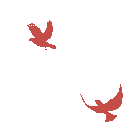 今天19:00！来马鞍山这里逛